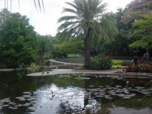 Brisbane City Botanic Gardens - Find Attractions