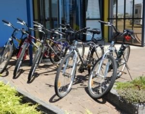 George Town to Low Head Walking and Cycling Trail - Find Attractions