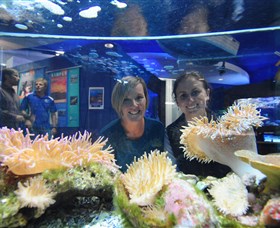 Solitary Islands Aquarium - Find Attractions