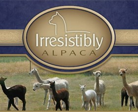Marchmont Park Alpacas - Find Attractions