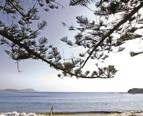 Terrigal Beach - Find Attractions