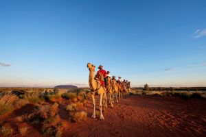 Uluru Small-Group Tour by Camel at Sunrise or Sunset - Find Attractions