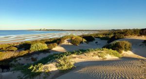 Shelly Beach Dune Walk Trail - Find Attractions