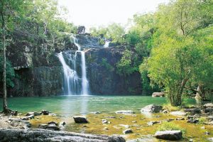 Cedar Creek Falls - Find Attractions